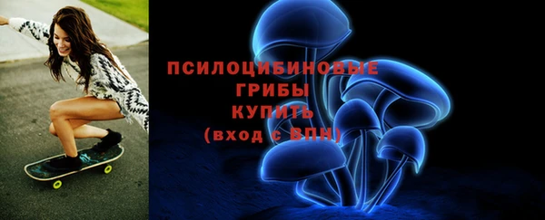 мяу мяу мука Арсеньев
