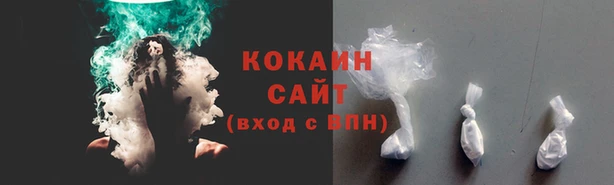 мяу мяу мука Арсеньев