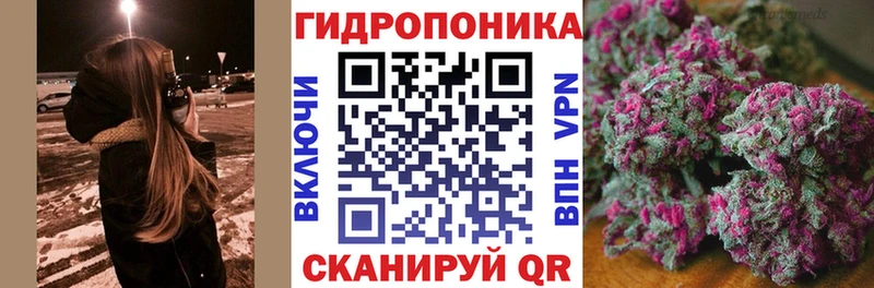 Бошки марихуана сатива  блэк спрут маркетплейс  сайты даркнета какой сайт  Мыски 